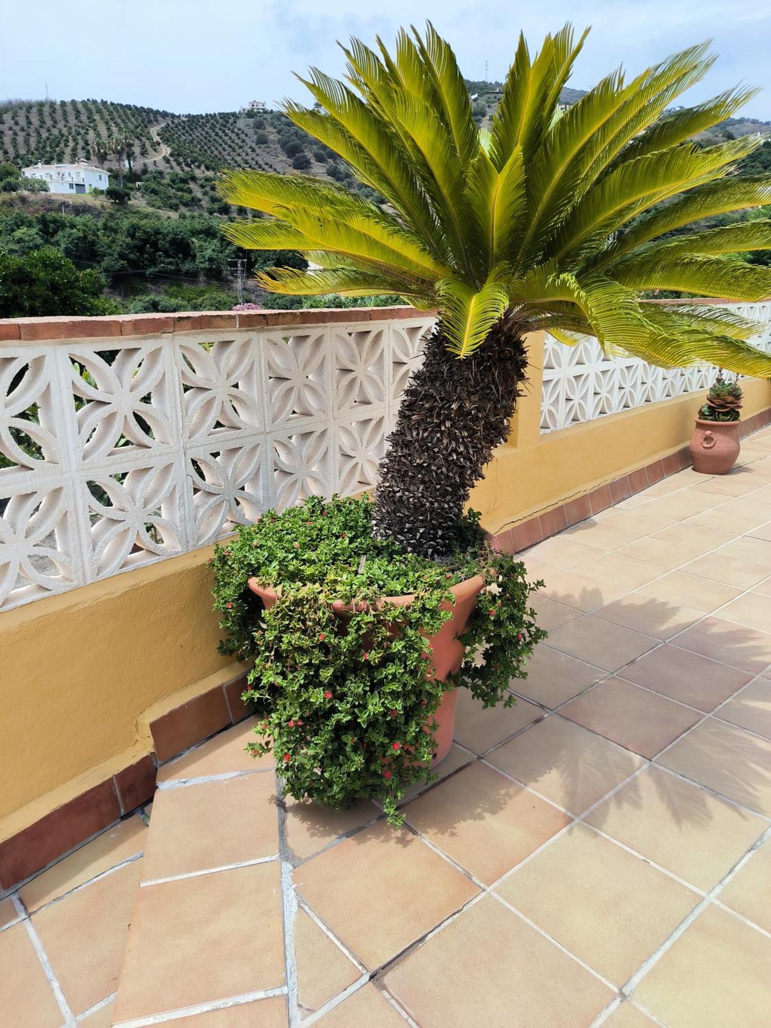 Villa Cortijo Maria Gomez à Málaga Extérieur photo